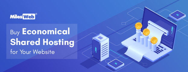 Economical Shared Hosting